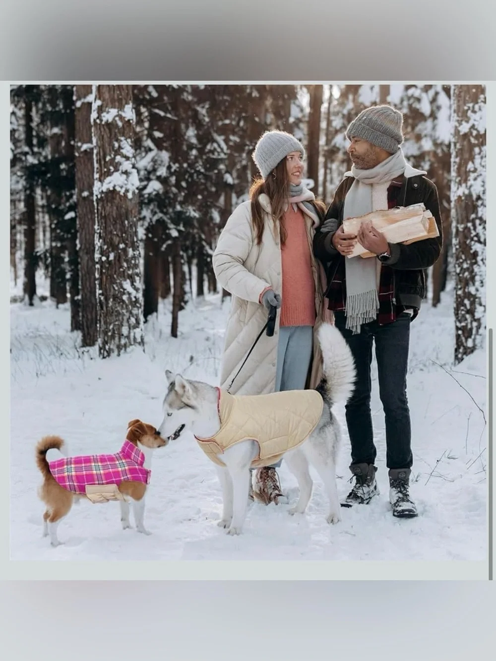 Kuoser Waterproof Dog Coat, Reversible Dog Jacket For Medium Dogs. 2457/bb12-1